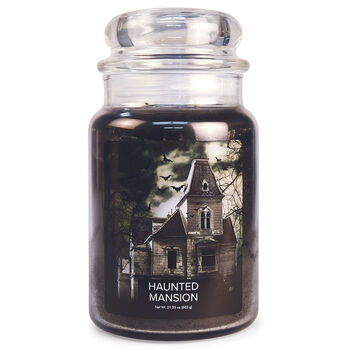 FANTASY Jar Dome large Haunted Mansion