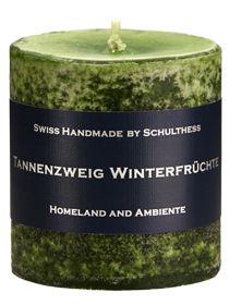 Tannenzweig Winterfrüchte