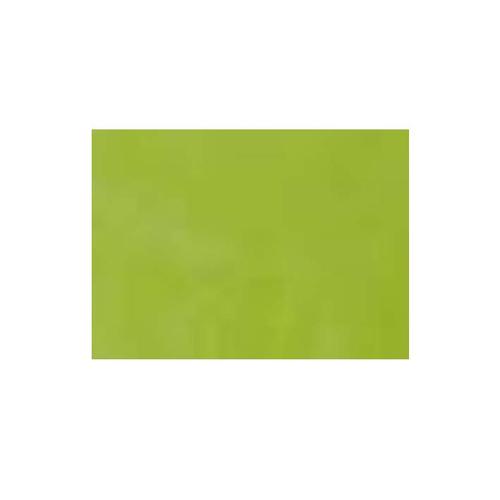 RUSTIC Holzschale kiwi   NEU !