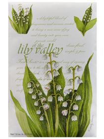 Lily of the Valley WB