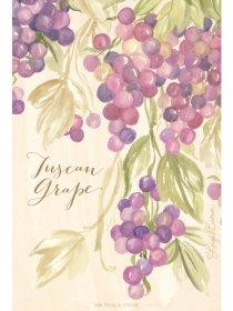 Tuscan Grape WB